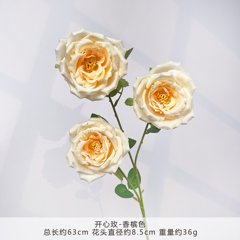 MJ-开心玫-香槟