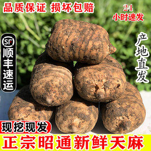 С�F����ϸɲĞ���ͨ�݉�����Ұ�����r��������