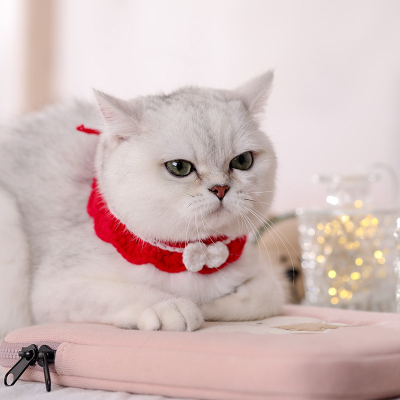 Collar para gatos tejido a mano collar para gatos collar para gatos collar