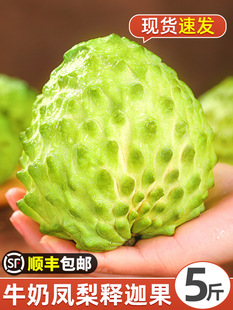 ��ȹ����r����֦5���Ŀ�P��ţ�̷��^������Ħ�������ˮ��3��S