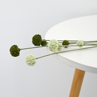 ����С�̹�4�^68�����S����͏dܛ�bС����ƹ�������l�羳�b[