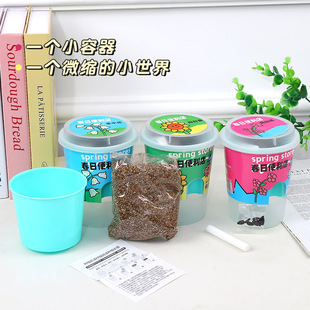 Milk Tea Cup Small Potted Plant Kindergarten Student Flower Observation Box Desktop Lavender Planting Potted Plant Creative Gift