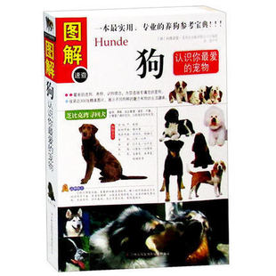 �D��鹷 �J�R��۵Č��ﹷ �B������ ���ﹷ Ӗ������ ����Ʒ�N