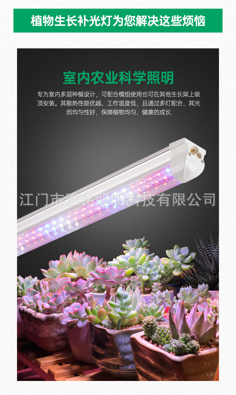 详情_03