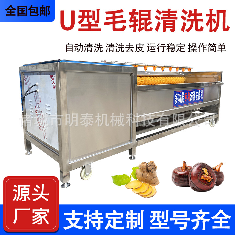 红薯清洗脱皮一体机中药材黄精白附子清洗设备猪蹄U型毛辊清洗机