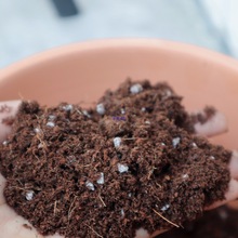 �@ˇͨ���ͼ��àI�B�������߲˶����¼��Nֲ�ЙC����̿�����໨��