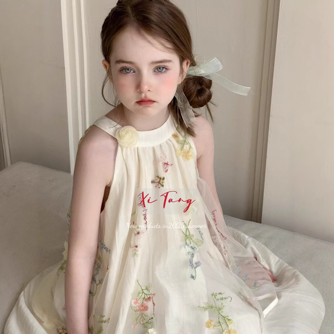 Abito da fata per le vacanze, modello 2025, di alta gamma, in tulle con scollo all'americana e ricami in rete, stile francese, ampio e raffinato._voghion.com
