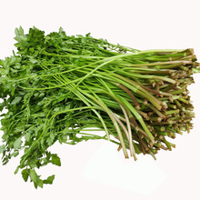 ���r�߲�ԭ���BҰˮ�۲�С�~ˮ�۲˟o��ˮ���r���ԷN���]