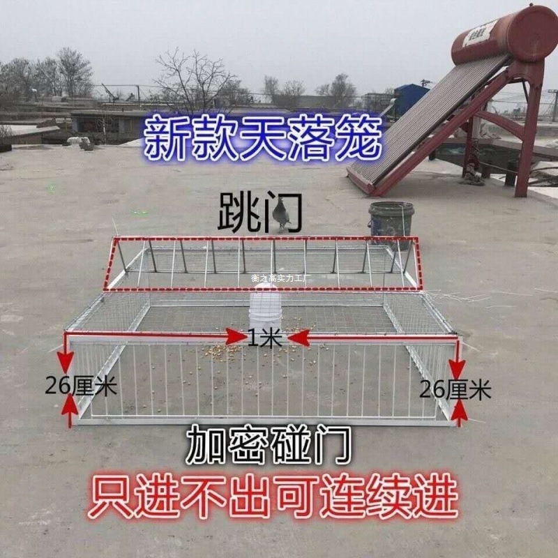 逋鸽鸽子天落笼只进不出鸽子笼活络门撞门笼鸟笼跳笼养殖笼其他|undefined