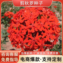 l󻨼_N͝ɽ }NӸ߳ѿ󃞻