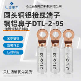 圆头铜铝接线端子 DTL-2铜铝鼻子 出口型接线端子