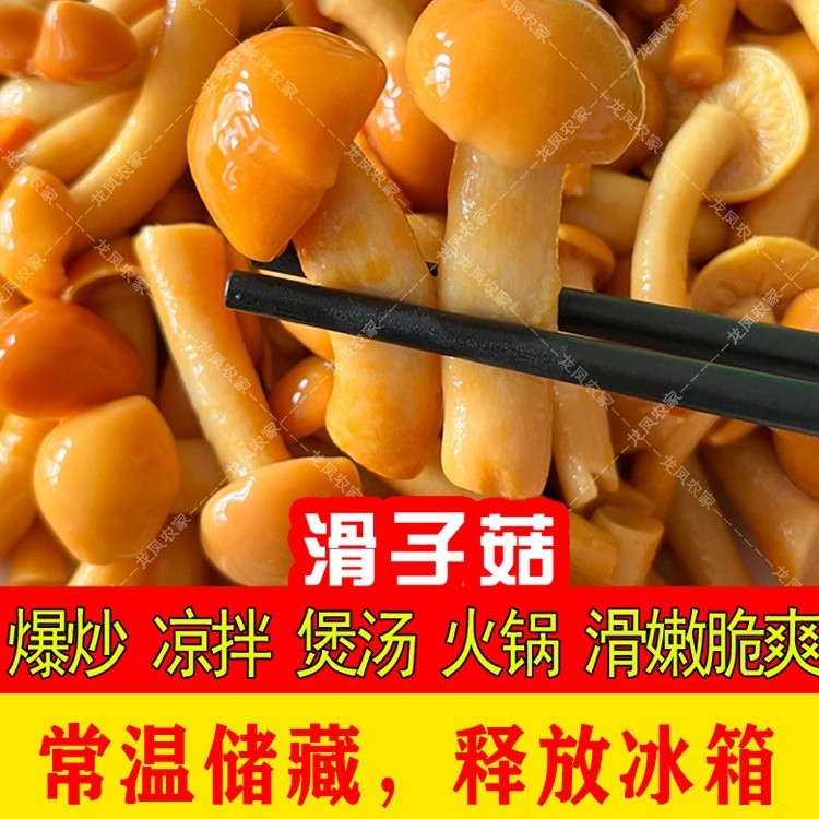 滑子菇非新鲜滑菇袋装含水滑子蘑珍珠菇滑嫩脆爽火锅爆炒煲汤凉拌