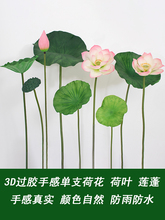 �ٻ�ˮ�ؾ��^�ɻ����쾰�[�O3d��ӡ�^�zɏ���ָкɻ����~����
