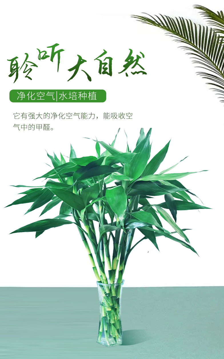 a4a76636-6292-498e-bb1c-277a6a443f1c.jpe