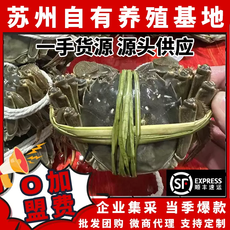 苏州湖心养殖鲜活大闸蟹礼盒中秋佳礼企业福利社区团购商超批发
