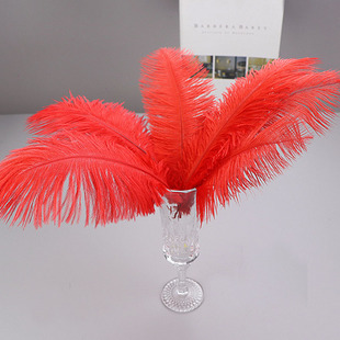 �S�����l�r�B��ë20-25cm�r�Bë��c�廨�[�O����Ʒ�^����