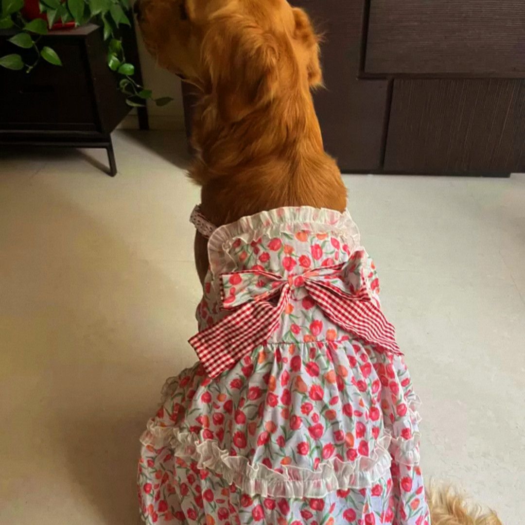 Prinsessklänning för stora hundar retro spetsväst stil kjol_voghion.com