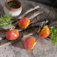 家居假花綾香兩頭柿子INS風仿真花廠家裝飾跨境婚慶批發MW65402