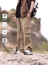 ���L���eѝ�Lѝ��ֱͲ���bѝins��ڴ���ѝ�������eѝɽϵ���bѝ