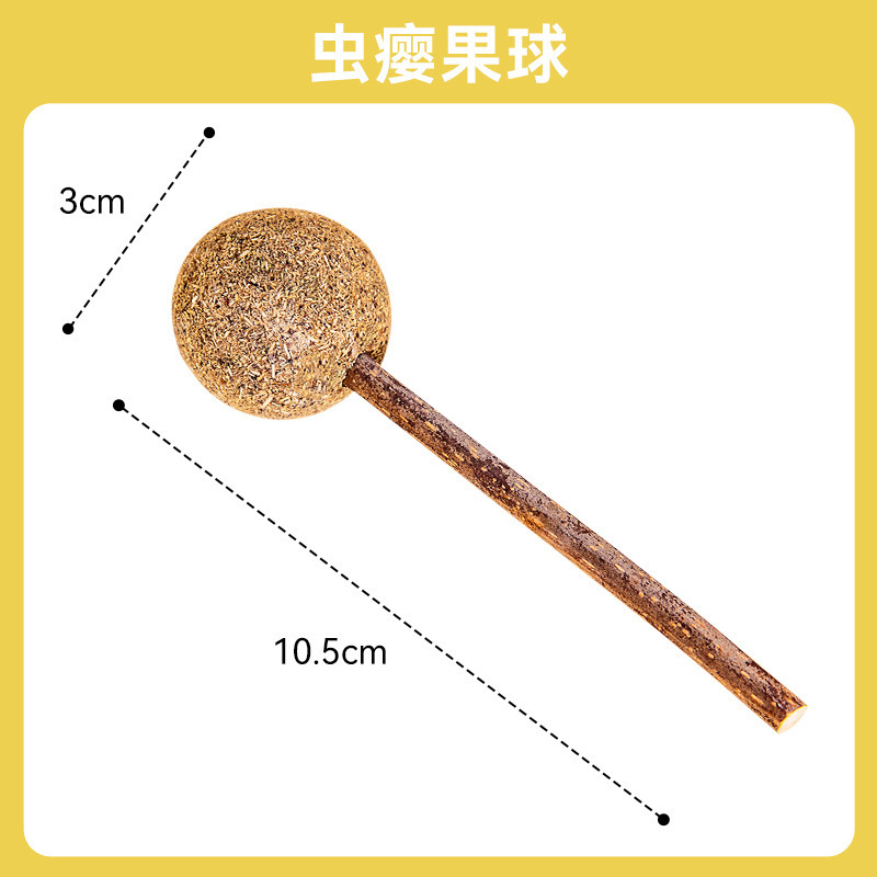 Mutian Polygonum 단일 팩 [핫 세일]