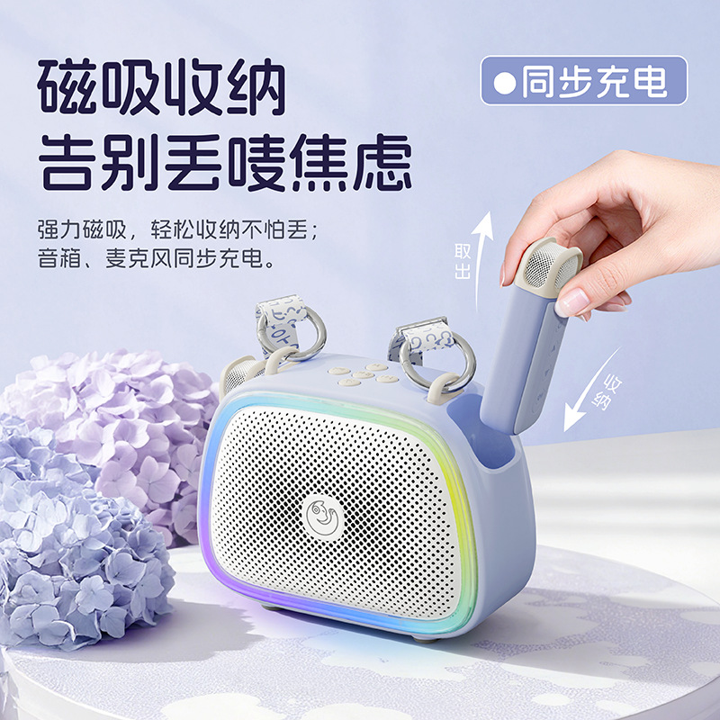 크로스보더 무선 Bluetooth 음향 노래 마이크 음향 일체형 마이크 가정 ktv 휴대용 어린이 스피커