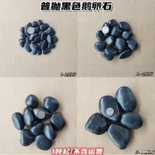 ɫ^ZʯͥԺV10껨ʯ·00̹쾰