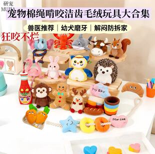����ë�q�����ҧĥ���l�K�Y��Ȯ�␞���ӌ�����Ʒ��ͨ������ż