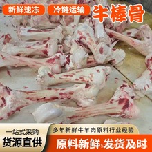 山东清真食品冷冻鲁西黄牛新鲜牛筒骨煲汤原料全牛牛腿骨牛棒骨