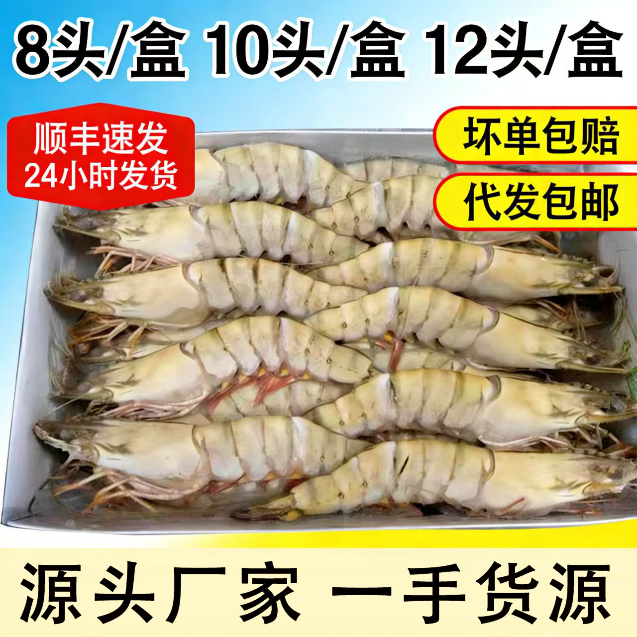 黑虎虾大号新鲜大虾鲜活虎虾海鲜水产斑节虾对虾老虎虾青虾九节虾