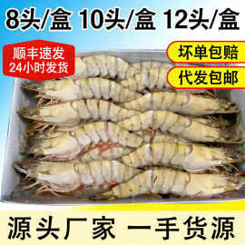 黑虎虾大号新鲜冷冻大虾虎虾海鲜水产斑节虾对虾老虎虾青虾九节虾