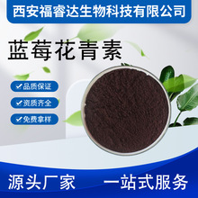 蓝莓花青素蓝莓果粉提取物 蓝莓花色苷 水溶性冻干蓝莓粉厂家发货