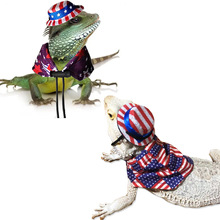 蜥蜴 帽子披风 独立日套装 爬宠外出搞笑变身装 遛蜥蜴