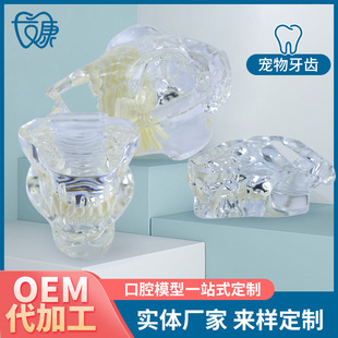 ���ƹ���؈��ģ�͌�������ǻ�̌Wģ�����Xģ��Ȯ��͸����֬��ģ