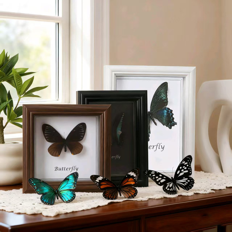 Hollow 2cm Three-Dimensional Real Glass Photo Frame Wholesale DIY Butterfly Insect Specimen Frame Square 46inch 8inch Hollow 2cm Three-Dimensional Real Glass Photo Frame Wholesale DIY Butterfly Insect Specimen Frame Square 46inch 8inch