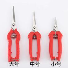 ժ������֦��ϡ���@ˇ��ˮ�������߲˲�ժ���Ѽ��Ӳɹ�ժ������