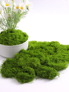 ̦�\��Ƥ�쾰��������̦΢���^���Ô[����ƺ�辰��������b����l