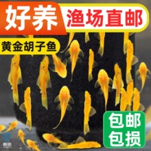 �S������~���������w�����~�����~�坍���B��С���^�p�~