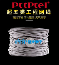 PTTP普天泰平 超五类4对屏蔽双绞线 CAT5E FTP数据电缆 305米网线