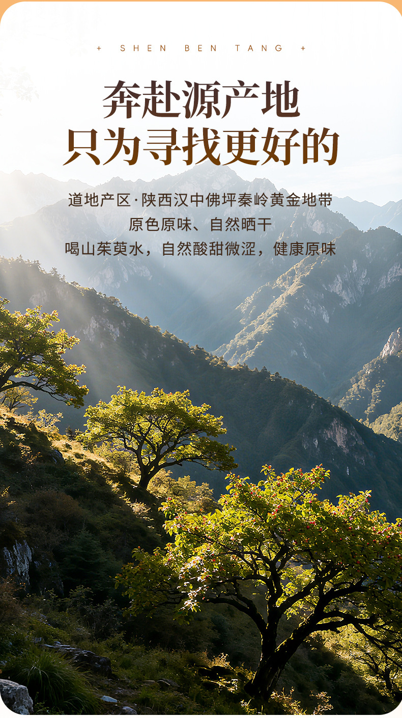 Dried Cornus Fruit Shan Zhu Yu 120g Jar Unsulfured Whole Fruit for Tea and Soup key features