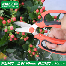 园林工具不锈钢剪刀家用鲜花修花卉剪刀强力园艺枝条修花剪