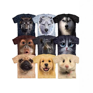 �羳�¿� ���R�d Y2 TK  ��������A�It��3D���aӡ���������w�·�