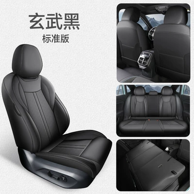 Four Seasons Pad – hair - xuanwu-black-standard-edition-note-the-specific-model-year