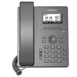 FLYING VOICE Feiyin Times Network IP -телефон P10 LAN Внутренний цвет телефонного цвета P11 Внутренний SI