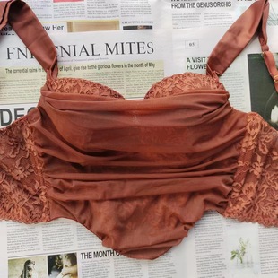 Vintage French Style Sexy Lace Mesh Style Bra Bone Clothes Tight Waist Show Large Soft Steel Ring Outer Wear Push-up Underwear