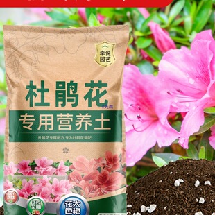 �N���N�������϶��N���I�B���B��ͨ����������������