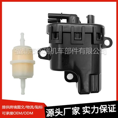Suitable for Huler Ech Ecv 2539316-S 2539314 Carburetor Fuel Pump Module (Carburetor)