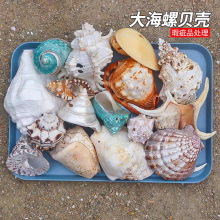 ����ؐ���f����覴�Ʒ�~�׿���ˮ���쾰�b�Ʒ�[���Ĕz��������