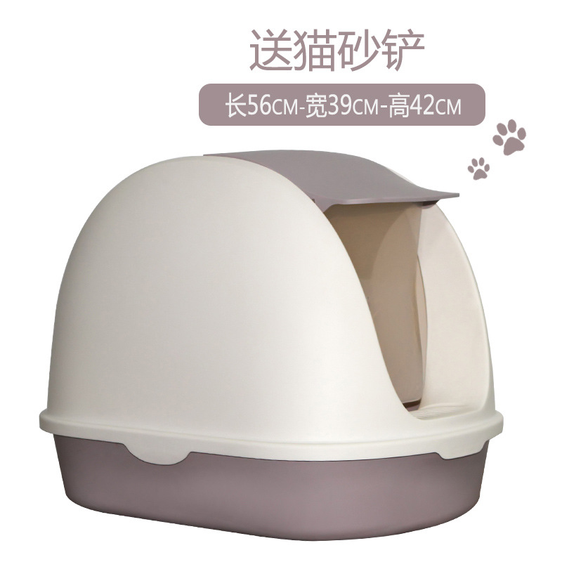 클래식 화이트
