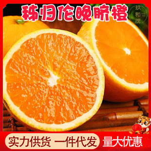 正宗伦晚秭归脐橙10斤整箱湖北特产新鲜水果现摘甜橙3批发5斤橙子-阿里巴巴