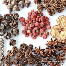 ~׃@ɹľƬbMϸɻ}Qb[ɹ͹ŵ